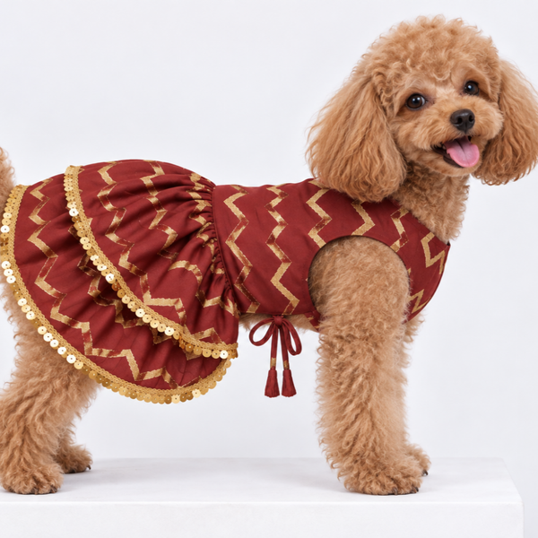 15 Furries Zari Gold Lehenga for Dogs & Cats (Maroon Red)