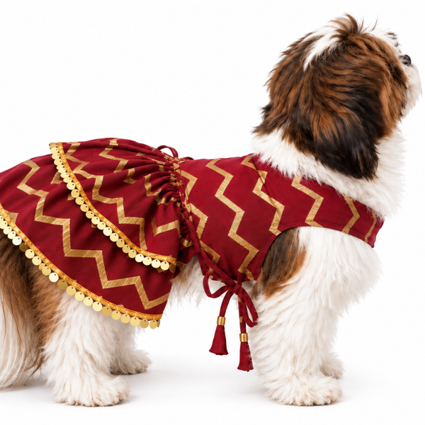 15 Furries Zari Gold Lehenga for Dogs & Cats (Maroon Red)