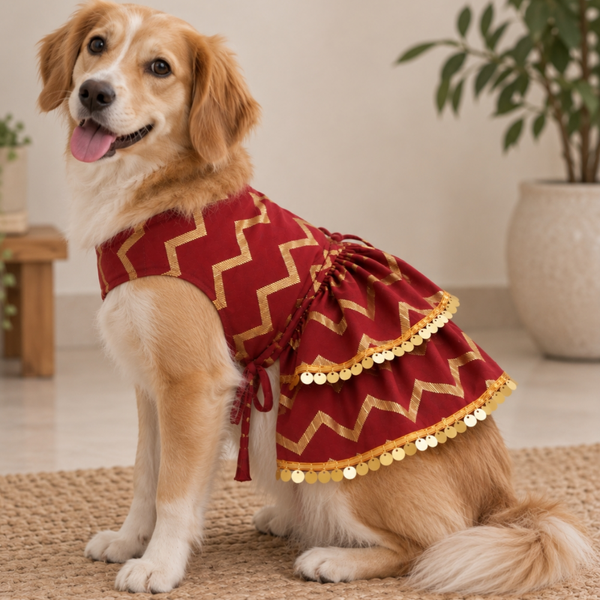 15 Furries Zari Gold Lehenga for Dogs & Cats (Maroon Red)