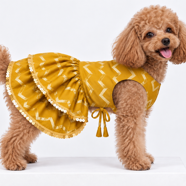 15 Furries Zari Gold Lehenga for Dogs & Cats (Mustard Yellow)