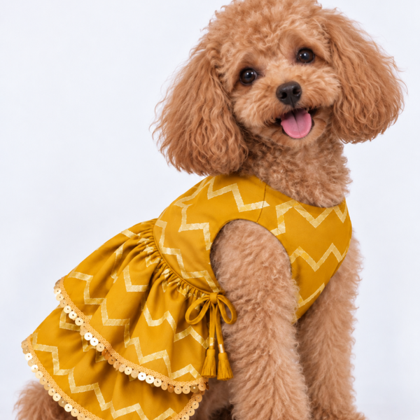 15 Furries Zari Gold Lehenga for Dogs & Cats (Mustard Yellow)