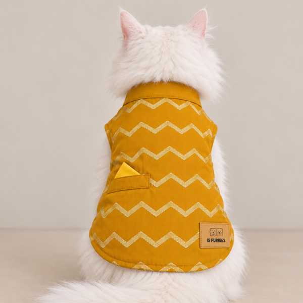 15 Furries Jashn Mustard Sherwani for Cats (Yellow/Gold)