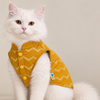 15 Furries Jashn Mustard Sherwani for Cats (Yellow/Gold) Cats-Clothing & Accessories 15 Furries Dropship