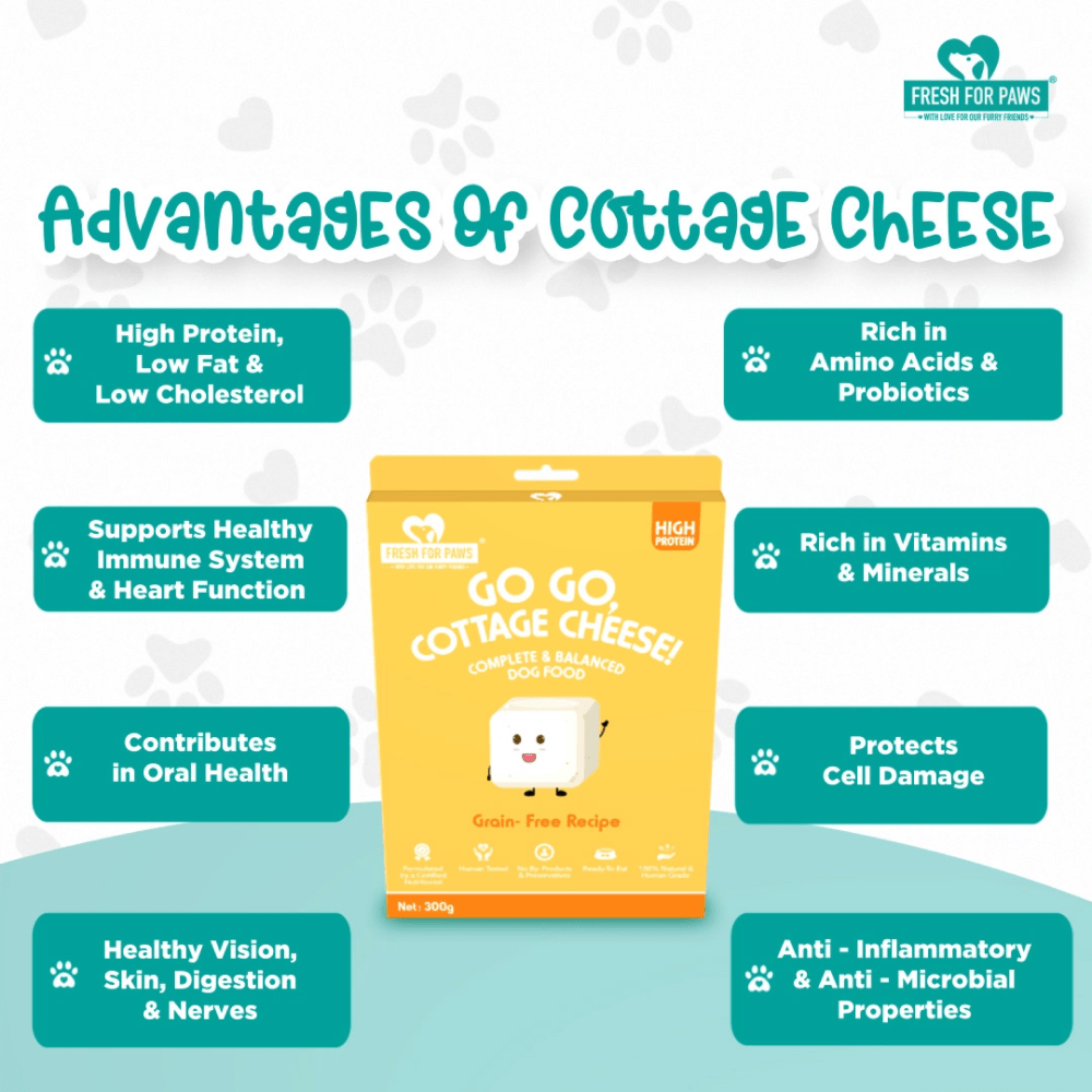Fresh For Paws Go Go Cottage Cheese Dog Wet Food (300g) Dogs-Fresh Food Fresh For Paws