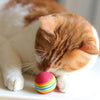 KUTKUT Foam Balls for Cats (Rainbow) Cats-Toys KUTKUT Dropship