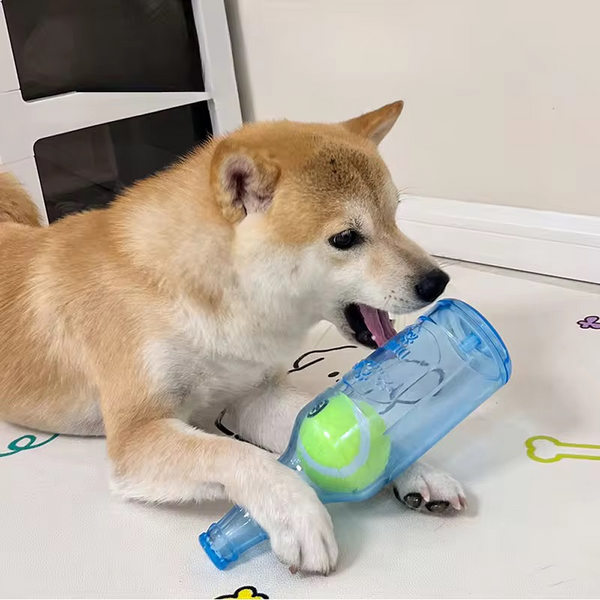 Talking Dog Club Ball in Bottle Rubber Chew Toy for Dogs (Blue)
