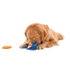 Talking Dog Club Chocolate Chip Cookie Interactive Plush Toy for Dogs (Blue) Dogs-Toys Talking Dog Club Dropship