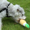 Talking Dog Club Grrona Mexican Beer Plush Toy for Dogs (Yellow) Dogs-Toys Talking Dog Club Dropship