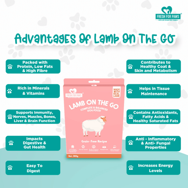 Fresh For Paws Lamb On The Go Dog Wet Food (300g)