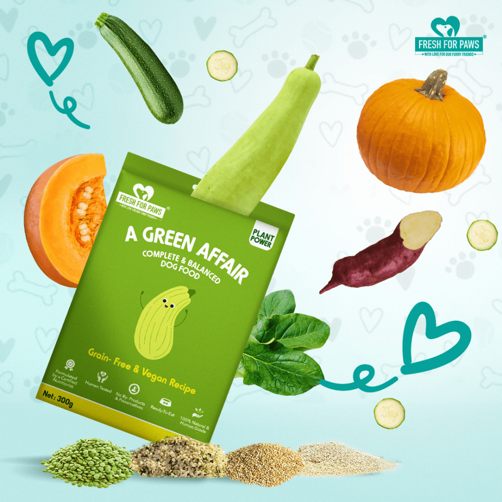Fresh For Paws A Green Affair Grain Free & Vegan Dog Wet Food (300g) Dogs-Fresh Food Fresh For Paws