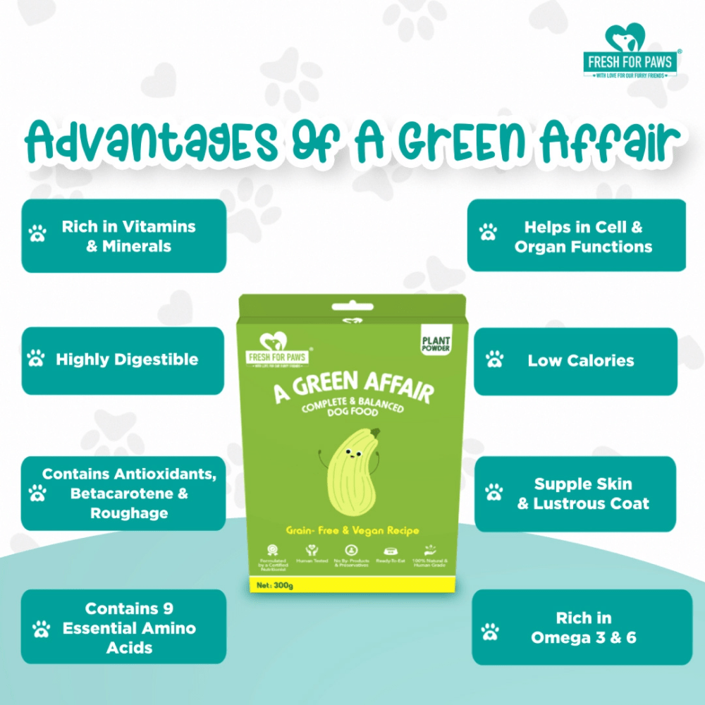 Fresh For Paws A Green Affair Grain Free & Vegan Dog Wet Food (300g) Dogs-Fresh Food Fresh For Paws