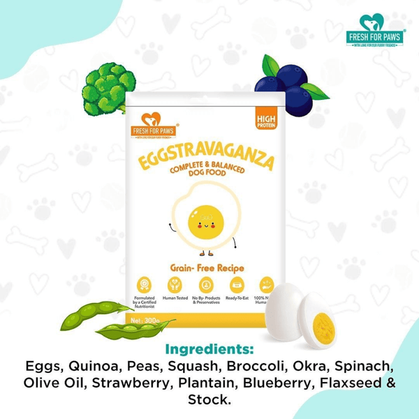 Fresh For Paws Eggstravaganza Dog Wet Food (300g)