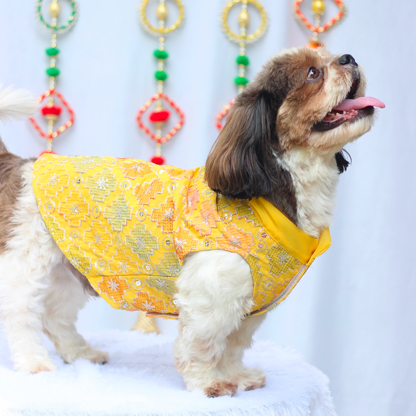 Pawgypets Festive Patola Kurta for Dogs (Yellow)