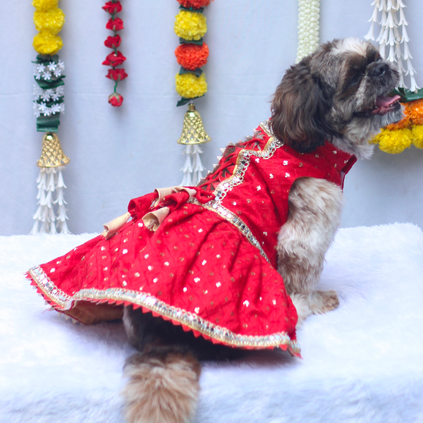 Pawgypets Shahi Lehengas Dress for Dogs (Red)