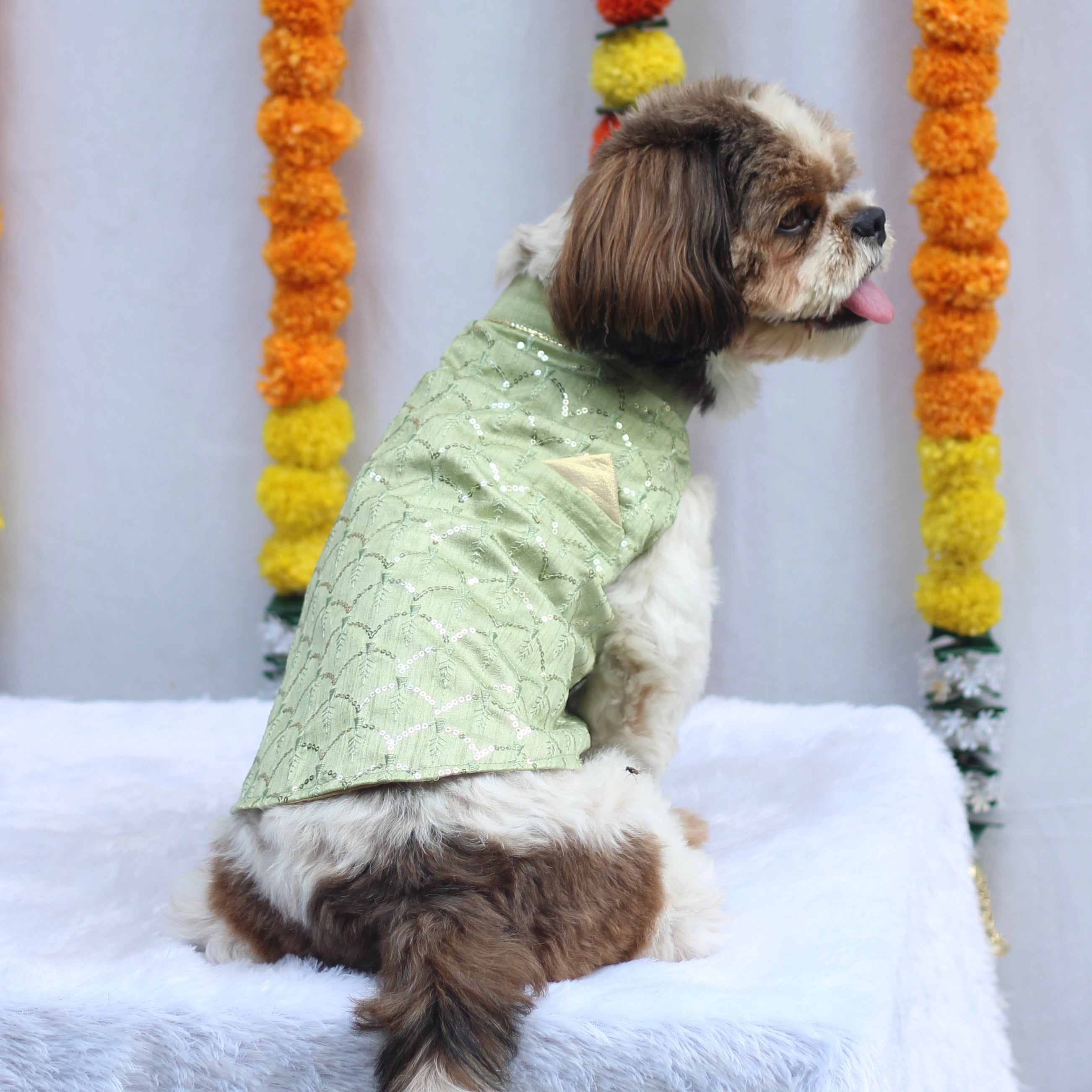 Pawgypets Festive Shahi Kurta for Dogs (Pastel Green) Dogs-Clothing & Accessories Pawgypets Dropship