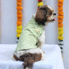 Pawgypets Festive Shahi Kurta for Dogs (Pastel Green) Dogs-Clothing & Accessories Pawgypets Dropship