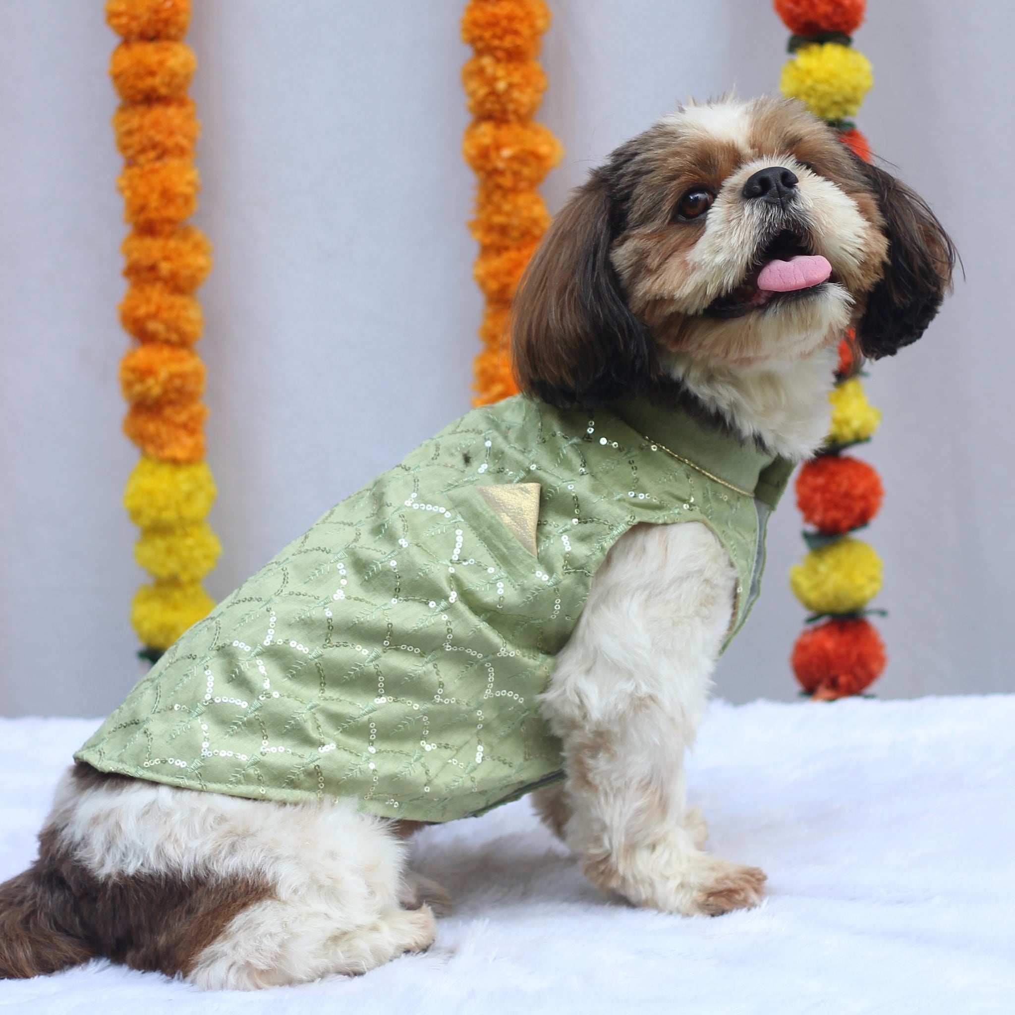 Pawgypets Festive Shahi Kurta for Dogs (Pastel Green) Dogs-Clothing & Accessories Pawgypets Dropship M