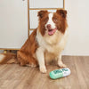 Talking Dog Chill Pill Plush Toy for Dogs (Green) Dogs-Toys Talking Dog Club Dropship
