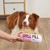 Talking Dog Chill Pill Plush Toy for Dogs (Pink) Dogs-Toys Talking Dog Club Dropship 22x21cm