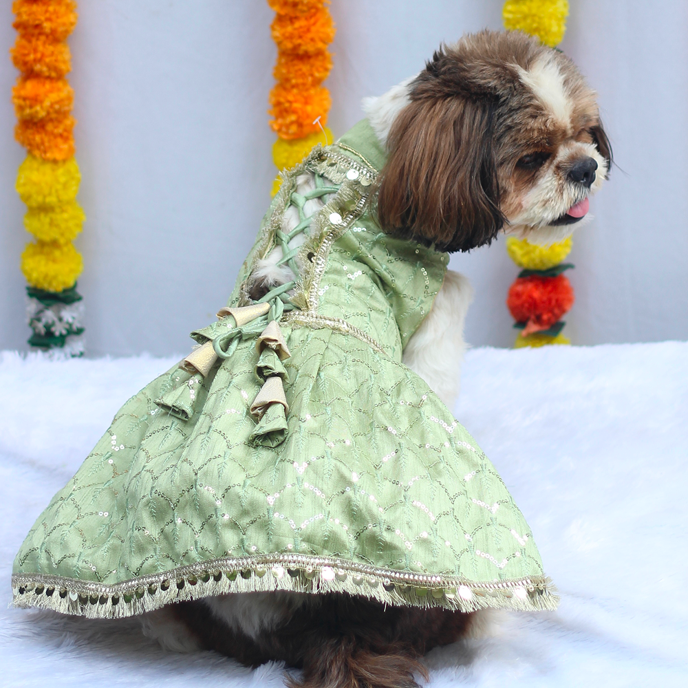 Pawgypets Shahi Lehengas Dress for Dogs (Pastel Green) Dogs-Clothing & Accessories Pawgypets Dropship M