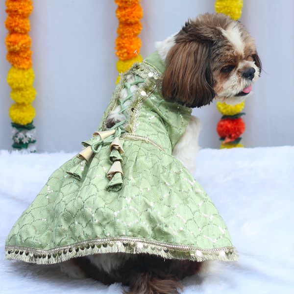 Pawgypets Shahi Lehengas Dress for Dogs (Pastel Green)