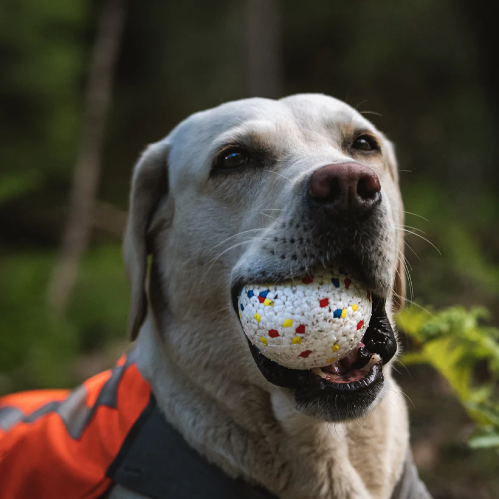 Talking Dog Club Bloom Ball Indestructible Heavy Chew Toy for Dogs (White) Dogs-Toys Talking Dog Club Dropship