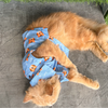 15buttons Tiger Shirt for Cats (Orange and Blue) Cats-Clothing & Accessories 15buttons Dropship