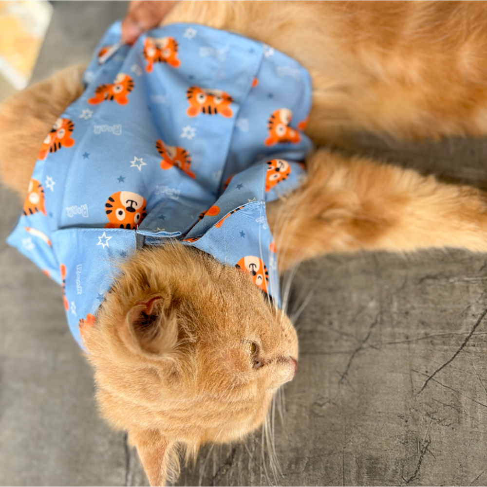 15buttons Tiger Shirt for Cats (Orange and Blue) Cats-Clothing & Accessories 15buttons Dropship
