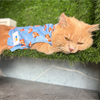 15buttons Tiger Shirt for Cats (Orange and Blue) Cats-Clothing & Accessories 15buttons Dropship