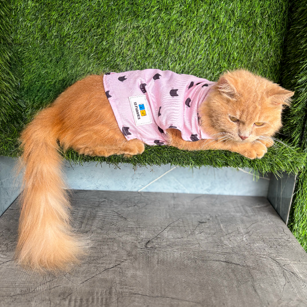 15 Furries Purfect pink Shirt for Cats (Pink)