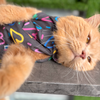 15 Furries Heart Buzz Shirt for Cats (Black) Cats-Clothing & Accessories 15 Furries Dropship