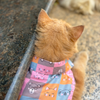 15 Furries Kitty Dreams Shirt for Cats (Multicolour) Cats-Clothing & Accessories 15 Furries Dropship