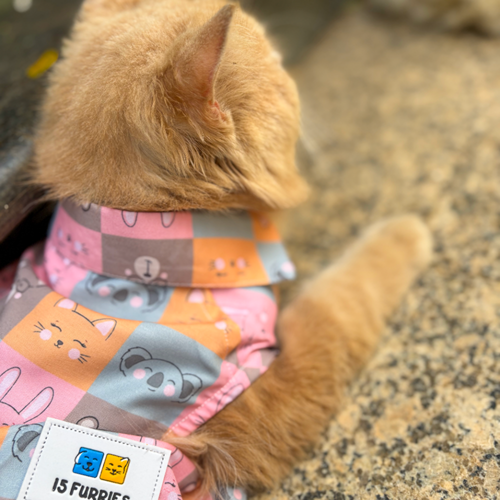 15 Furries Kitty Dreams Shirt for Cats (Multicolour) Cats-Clothing & Accessories 15 Furries Dropship