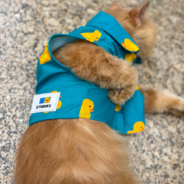 15 Furries Little Duckling Shirt for Cats (Green and yellow)