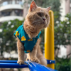 15 Furries Little Duckling Shirt for Cats (Green and yellow) Cats-Clothing & Accessories 15 Furries Dropship XS