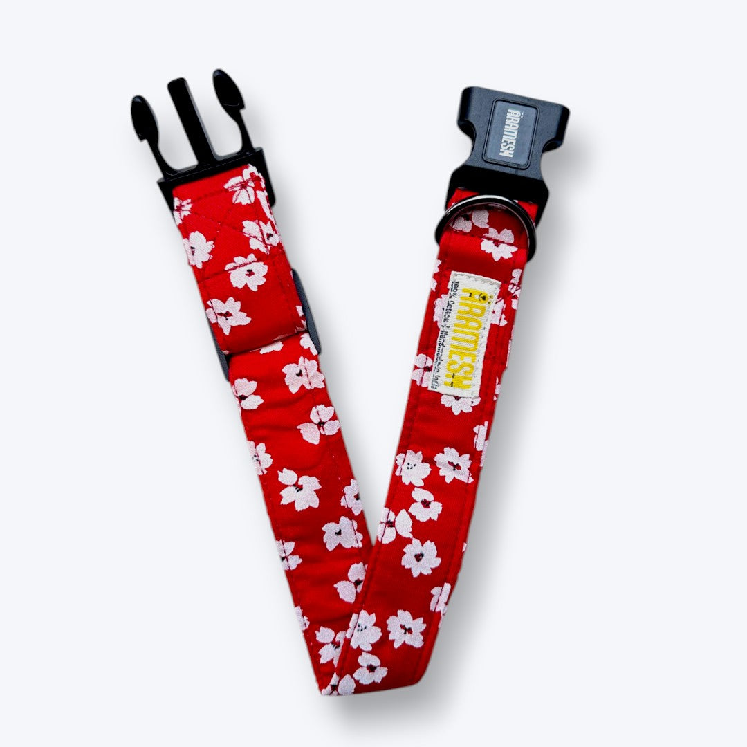 Aramesh Cherry Blossom Adjustable Collar for Dogs (Red and White) Dogs-Collar, Leashes, harnesses Aramesh Dropship