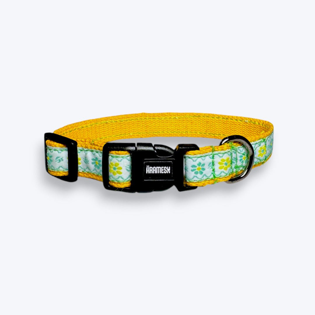 Aramesh Lemon Blossom Collar for Cats (Yellow, White & Green) Dogs-Collar, Leashes, harnesses Aramesh Dropship M