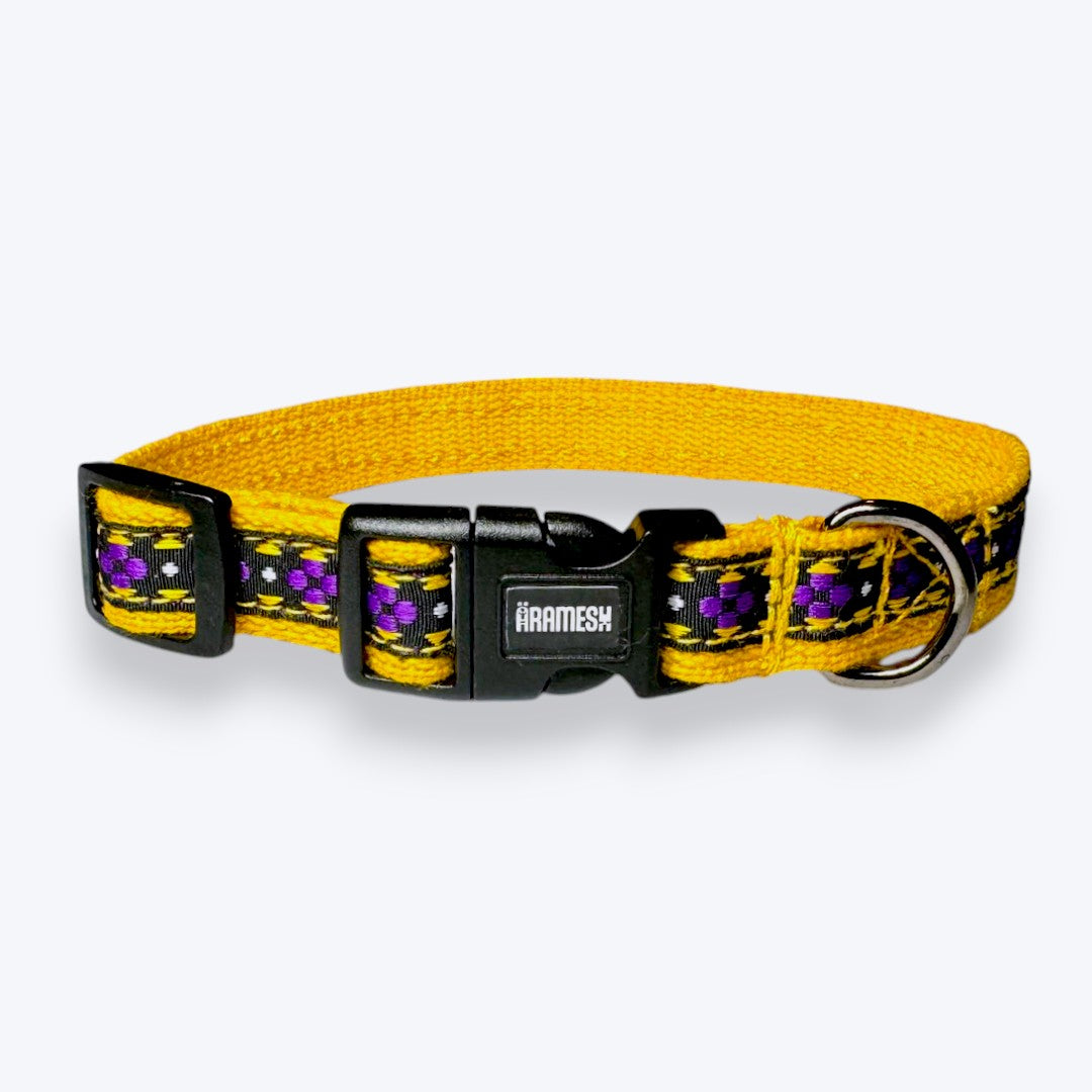 Aramesh Amber Paws Collar for Cats (Yellow and Purple) Dogs-Collar, Leashes, harnesses Aramesh Dropship M