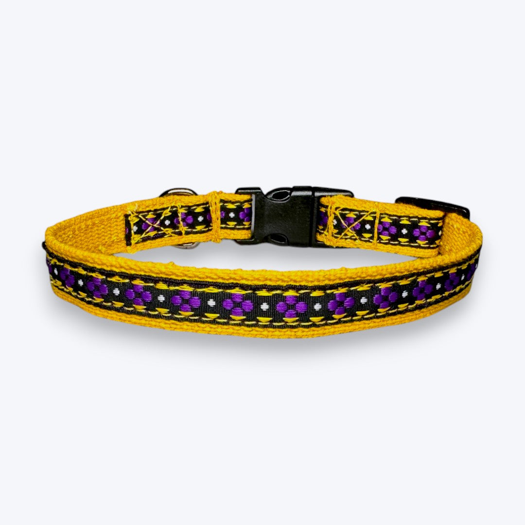 Aramesh Amber Paws Collar for Cats (Yellow and Purple) Dogs-Collar, Leashes, harnesses Aramesh Dropship
