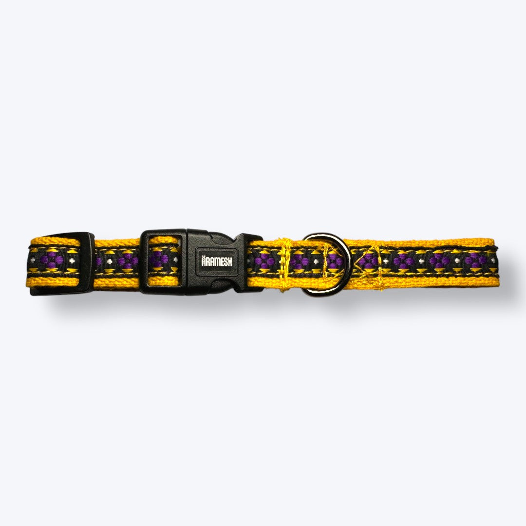 Aramesh Amber Paws Collar for Cats (Yellow and Purple) Dogs-Collar, Leashes, harnesses Aramesh Dropship
