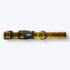 Aramesh Amber Paws Collar for Cats (Yellow and Purple) Dogs-Collar, Leashes, harnesses Aramesh Dropship