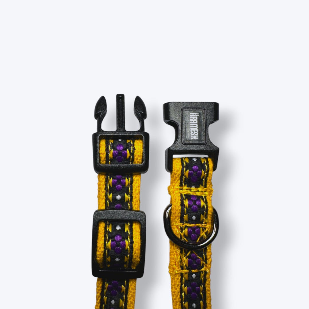 Aramesh Amber Paws Collar for Cats (Yellow and Purple) Dogs-Collar, Leashes, harnesses Aramesh Dropship