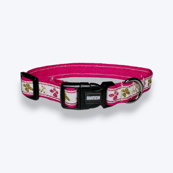 Aramesh Garden Whisper Collar for Cats (Pink and White)