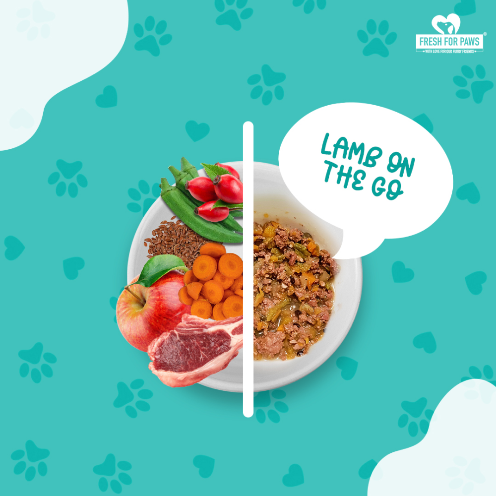 Fresh For Paws Lamb On The Go Dog Wet Food (100g)