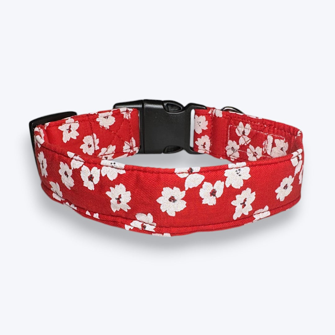 Aramesh Cherry Blossom Adjustable Collar for Dogs (Red and White) Dogs-Collar, Leashes, harnesses Aramesh Dropship