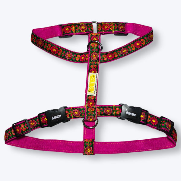 Aramesh Emerald Trails Harness for Dogs (Pink & Green)