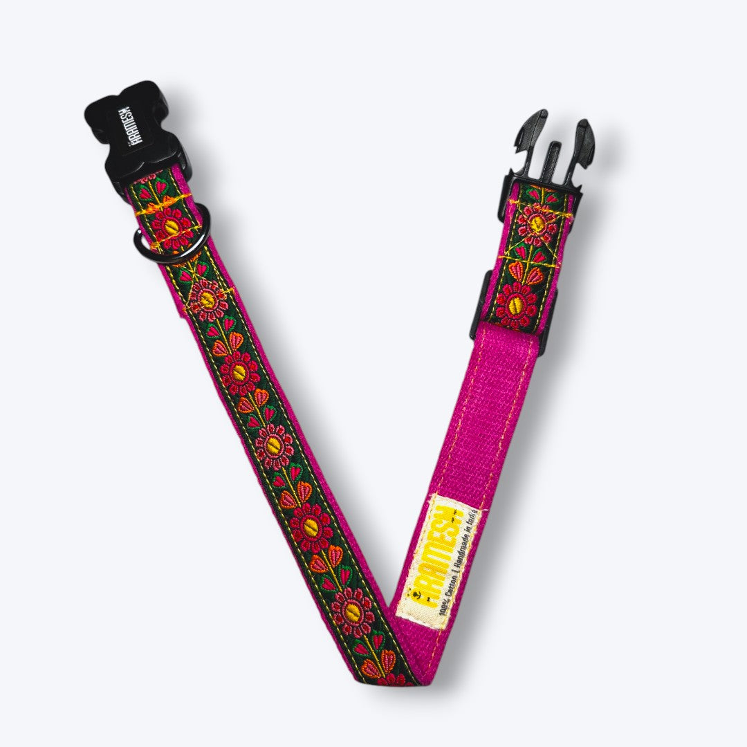Aramesh Emerald Glow Adjustable Collar for Dogs (Pink and Green) Dogs-Collar, Leashes, harnesses Aramesh Dropship