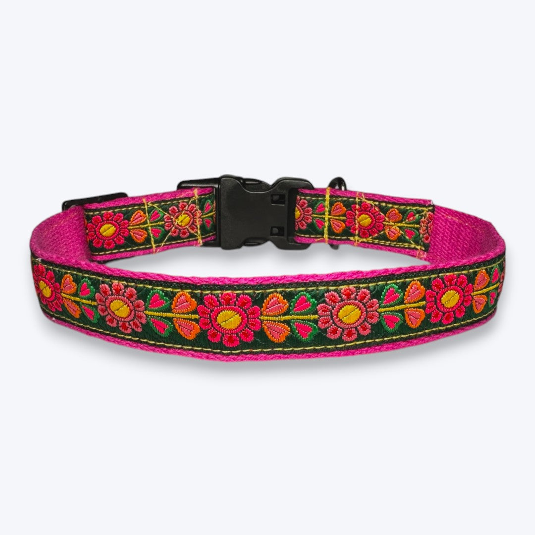 Aramesh Emerald Glow Adjustable Collar for Dogs (Pink and Green) Dogs-Collar, Leashes, harnesses Aramesh Dropship S