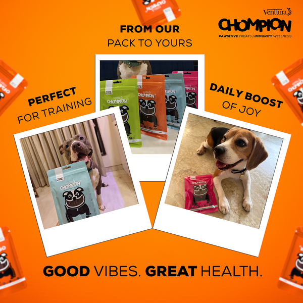 Venttura Chompion Pawsitive Immunity Wellness Dogs Treats