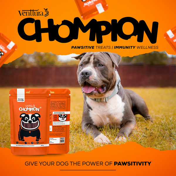 Venttura Chompion Pawsitive Immunity Wellness Dogs Treats